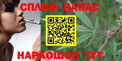 apvp Ногинск