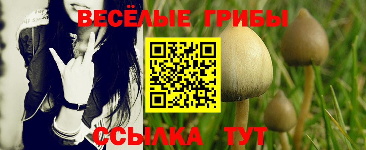 Псилоцибиновые грибы ЛСД  где купить наркотик  Кушва  Вход с VPN  Галлюциногенные грибы Psilocybe 